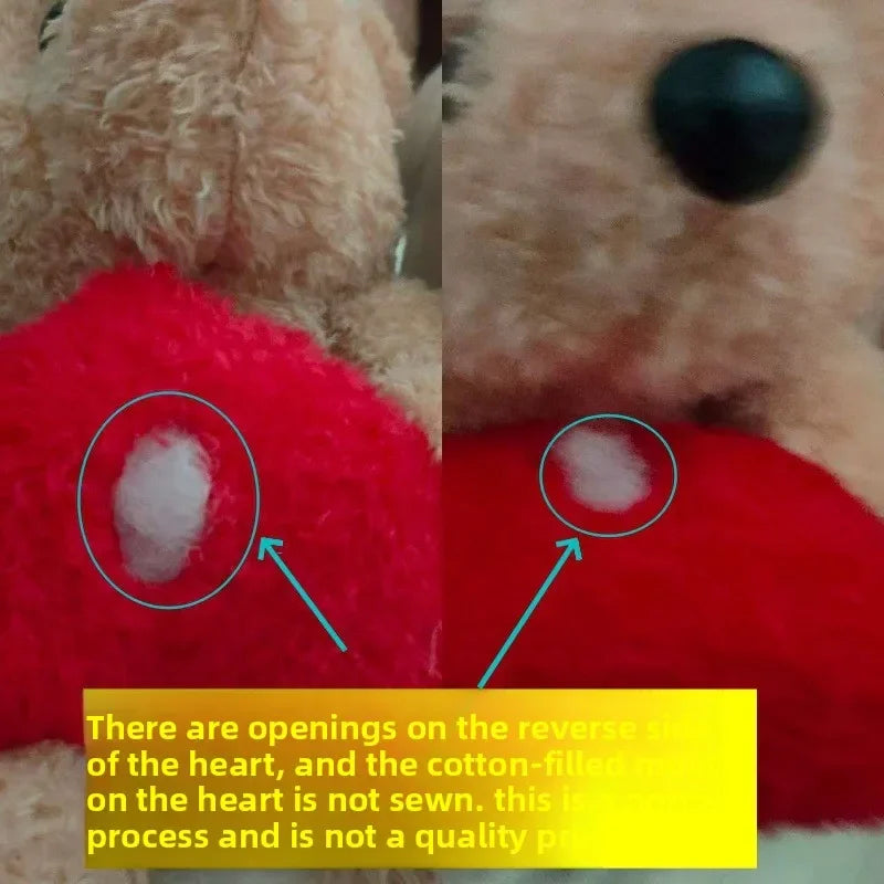 Heart Teddy Bear Plush